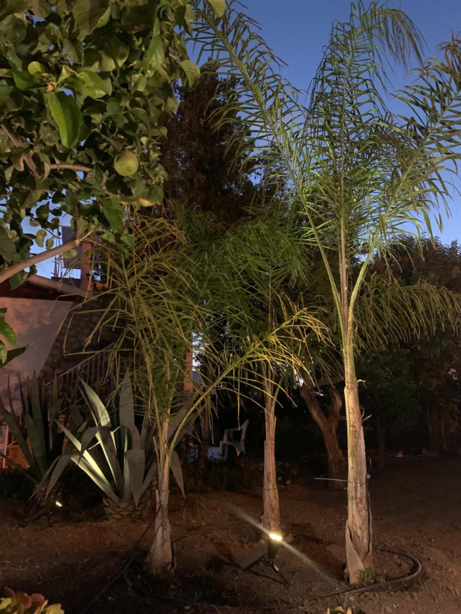 Casa Vacanze Astori Трабия Екстериор снимка